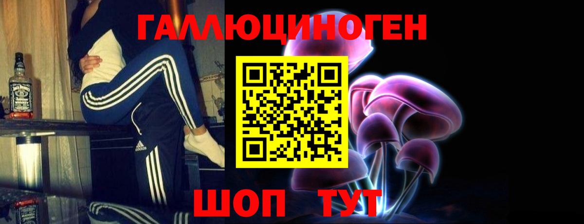 Псилоцибиновые грибы мицелий  Вход с VPN  Новоалтайск 
